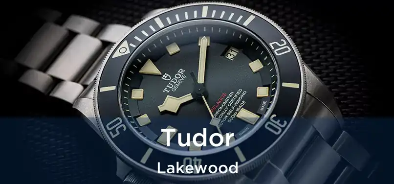 Tudor Lakewood